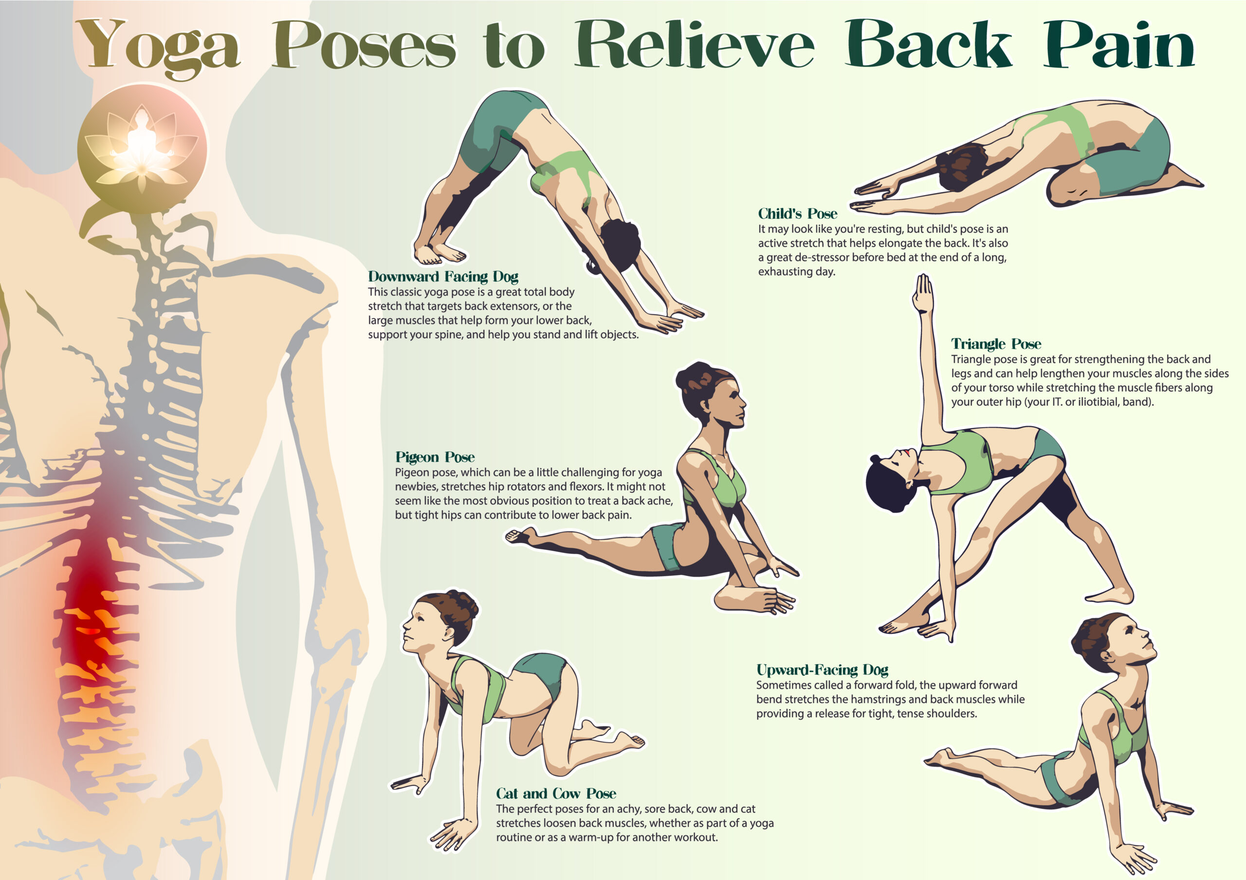 Yoga Sequences for Instant Rejuvenation